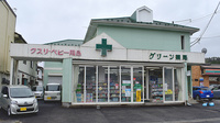 有限会社　グリーン薬局の外観
