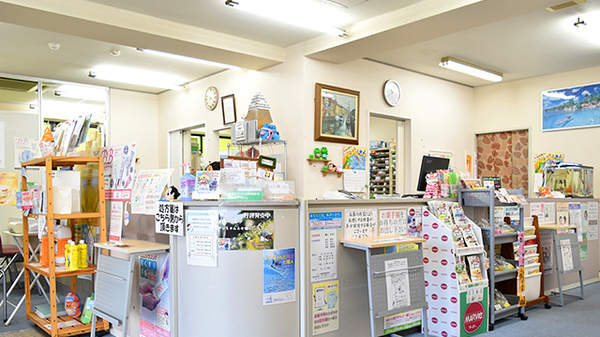 ライフ調剤薬局　駅前店の受付/カウンター