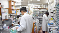 とまと薬局の作業風景