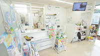 そうごう薬局　大坪店の受付/カウンター