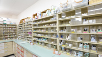 スギ薬局　岩滑店の薬棚