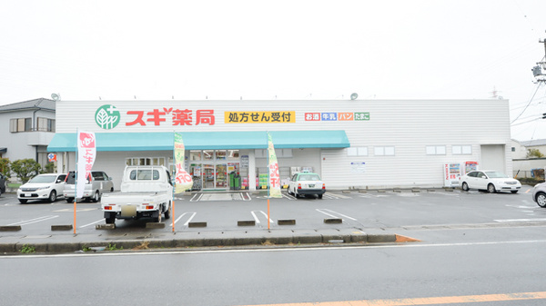 スギ薬局　武豊南店の外観
