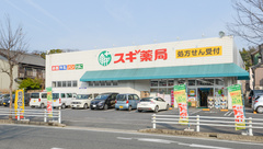 スギ薬局　高横須賀店の外観