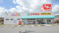 スギ薬局　幸田店の外観