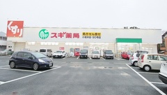 スギ薬局　小坂井店の外観
