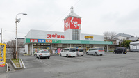 スギ薬局　東柳原店の外観
