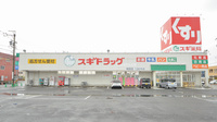 スギ薬局　穂積店の外観