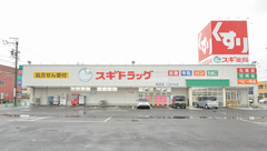 スギ薬局　穂積店の外観