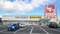 スギ薬局　毛受店の外観