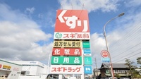 スギ薬局　尾西北店の看板