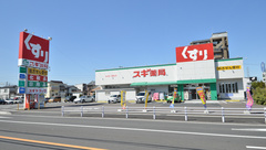 スギ薬局　大地店の外観