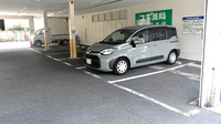 スギ薬局　円町店の駐車場