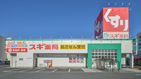 スギ薬局　忠節店の外観
