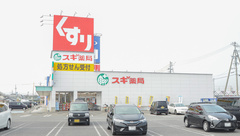 スギ薬局　平坂店の外観