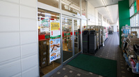 スギ薬局　今川店の入口
