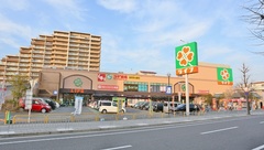 スギ薬局　浜甲子園店の外観