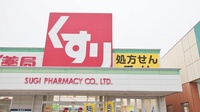 スギ薬局　豊橋花田店の看板