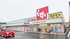 スギ薬局　豊橋花田店の外観