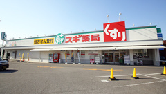 スギ薬局　岡崎コムタウン店の外観