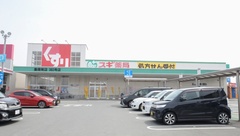 スギ薬局　豊橋南店の外観