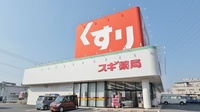 スギ薬局　西尾道光寺店の外観