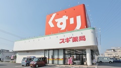 スギ薬局　西尾道光寺店の外観