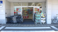 スギ薬局　大覚寺店の入口