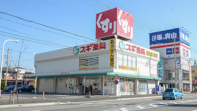 スギ薬局　西宮中前田店の外観