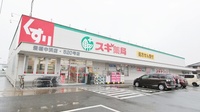 スギ薬局　豊橋中浜店の外観