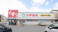 スギ薬局　一宮大浜店の外観