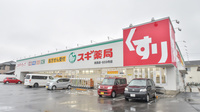 スギ薬局　美里店の外観