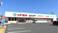 スギ薬局　浜松飯田店の外観