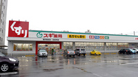 スギ薬局　稲沢奥田店の外観