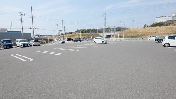 スギ薬局　常滑インター店の駐車場