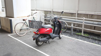 スギ薬局　石屋川店の駐輪場