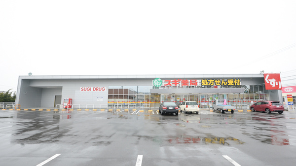 スギ薬局　内海店の外観