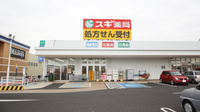 スギ薬局　西尾一色南店の外観