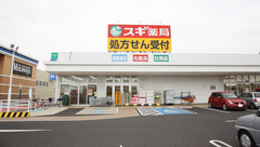 スギ薬局　西尾一色南店の外観