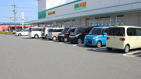 スギ薬局　碧南城山店の駐車場