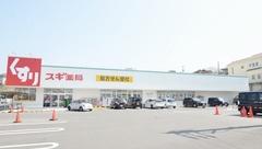 スギ薬局　前後店の外観