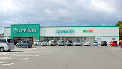 スギ薬局　高浜店の外観