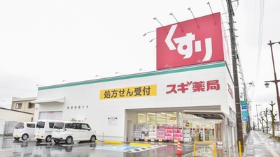 スギ薬局　豊田高上店