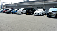 スギ薬局　西大路店の駐車場