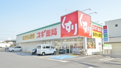 スギ薬局　各務原市役所前店の外観