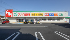 スギ薬局　豊川野口店の外観