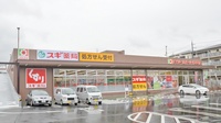 スギ薬局　柏原玉手店の外観