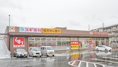 スギ薬局　柏原玉手店の外観