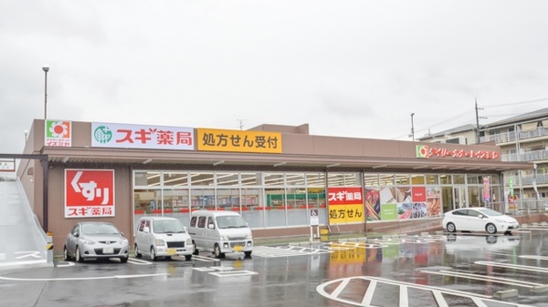 スギ薬局　柏原玉手店の外観