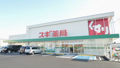 スギ薬局　西条店の外観