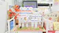 深阪矢谷薬局の化粧品